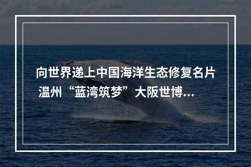 向世界递上中国海洋生态修复名片 温州“蓝湾筑梦”大阪世博会“圈粉”