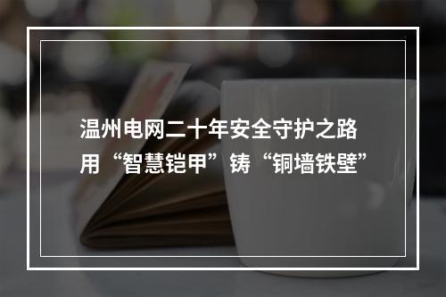 温州电网二十年安全守护之路 用“智慧铠甲”铸“铜墙铁壁”