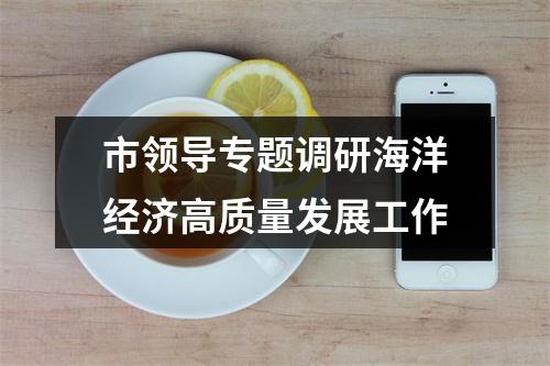 市领导专题调研海洋经济高质量发展工作