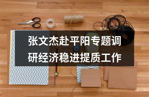 张文杰赴平阳专题调研经济稳进提质工作