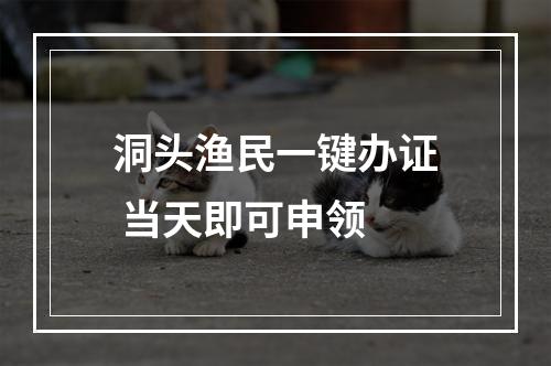 洞头渔民一键办证 当天即可申领