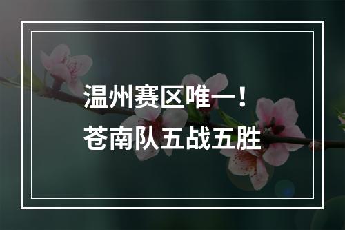温州赛区唯一！苍南队五战五胜