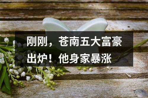 刚刚，苍南五大富豪出炉！他身家暴涨