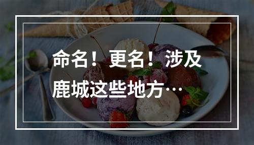 命名！更名！涉及鹿城这些地方…