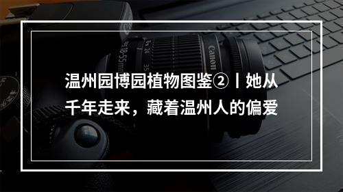 温州园博园植物图鉴②丨她从千年走来，藏着温州人的偏爱