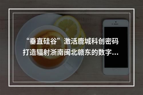 “垂直硅谷”激活鹿城科创密码 打造辐射浙南闽北赣东的数字产业新高地