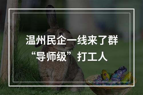 温州民企一线来了群“导师级”打工人