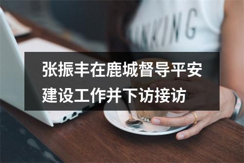 张振丰在鹿城督导平安建设工作并下访接访