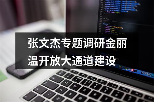 张文杰专题调研金丽温开放大通道建设