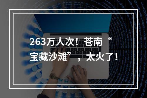 263万人次！苍南“宝藏沙滩”，太火了！