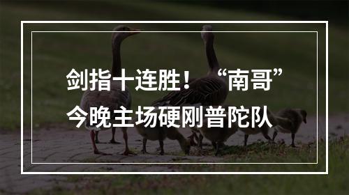 剑指十连胜！“南哥”今晚主场硬刚普陀队