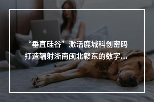 “垂直硅谷”激活鹿城科创密码 打造辐射浙南闽北赣东的数字产业新高地