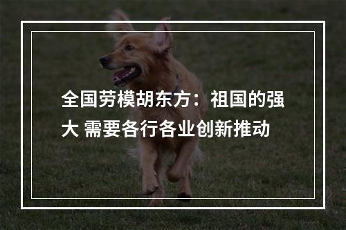 全国劳模胡东方：祖国的强大 需要各行各业创新推动