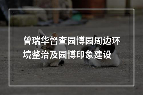 曾瑞华督查园博园周边环境整治及园博印象建设
