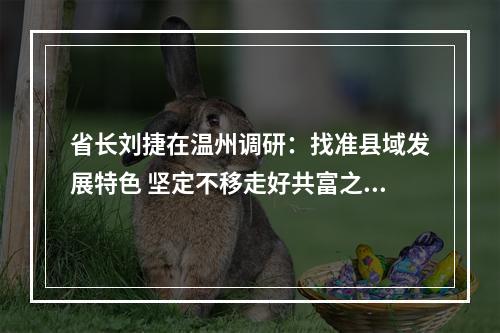 省长刘捷在温州调研：找准县域发展特色 坚定不移走好共富之路