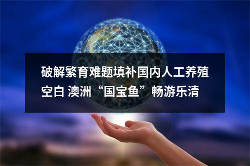破解繁育难题填补国内人工养殖空白 澳洲“国宝鱼”畅游乐清