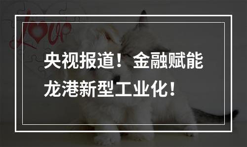 央视报道！金融赋能龙港新型工业化！