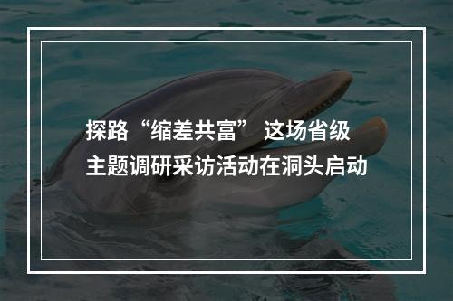 探路“缩差共富” 这场省级主题调研采访活动在洞头启动