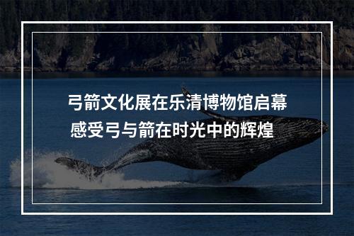弓箭文化展在乐清博物馆启幕 感受弓与箭在时光中的辉煌