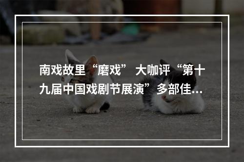 南戏故里“磨戏” 大咖评“第十九届中国戏剧节展演”多部佳作