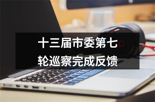 十三届市委第七轮巡察完成反馈