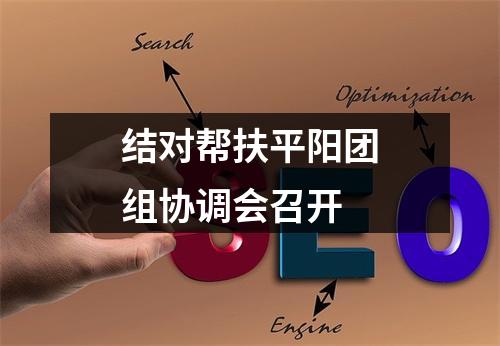 结对帮扶平阳团组协调会召开