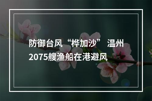 防御台风“桦加沙” 温州2075艘渔船在港避风