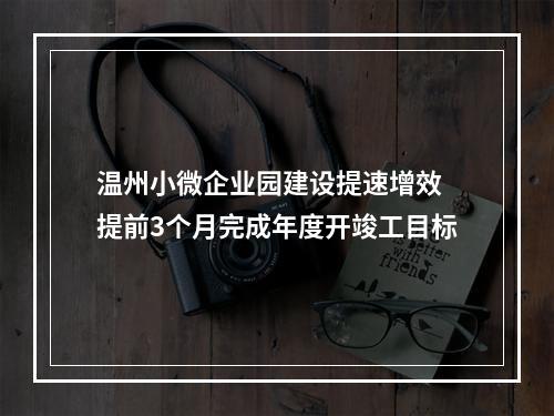 温州小微企业园建设提速增效 提前3个月完成年度开竣工目标