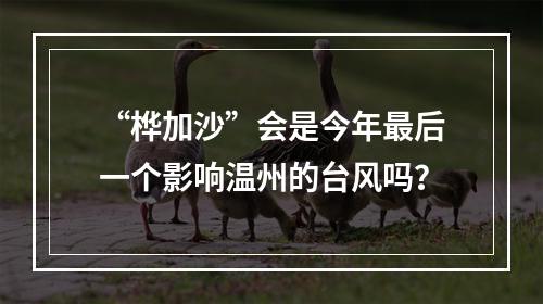 “桦加沙”会是今年最后一个影响温州的台风吗？