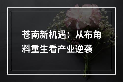 苍南新机遇：从布角料重生看产业逆袭