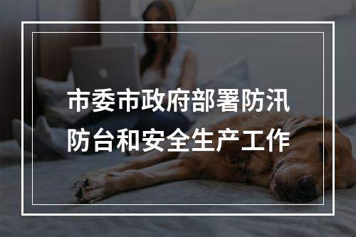 市委市政府部署防汛防台和安全生产工作