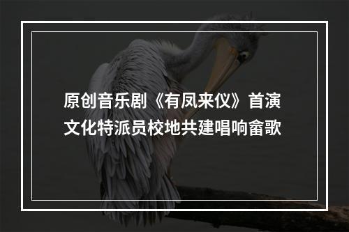 原创音乐剧《有凤来仪》首演 文化特派员校地共建唱响畲歌