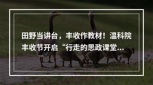 田野当讲台，丰收作教材！温科院丰收节开启“行走的思政课堂”