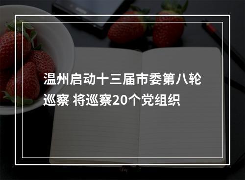温州启动十三届市委第八轮巡察 将巡察20个党组织