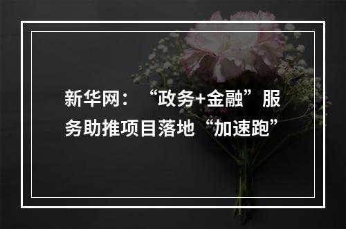新华网：“政务+金融”服务助推项目落地“加速跑”