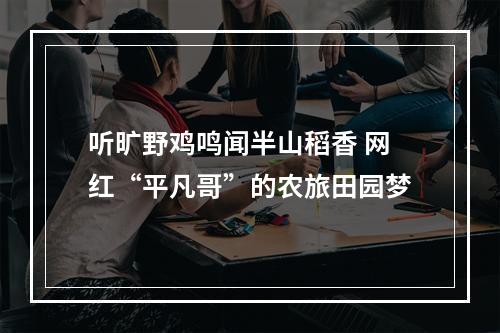 听旷野鸡鸣闻半山稻香 网红“平凡哥”的农旅田园梦