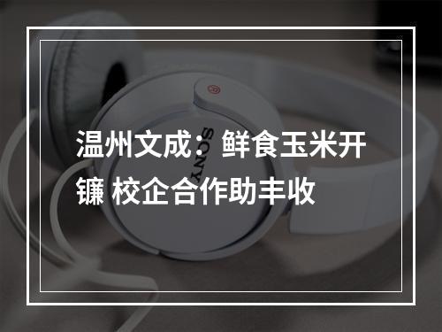 温州文成：鲜食玉米开镰 校企合作助丰收