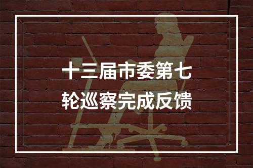十三届市委第七轮巡察完成反馈