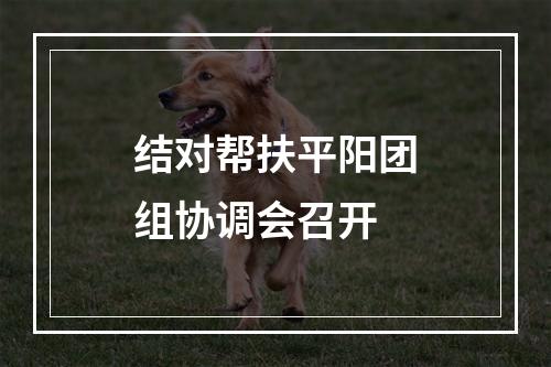 结对帮扶平阳团组协调会召开