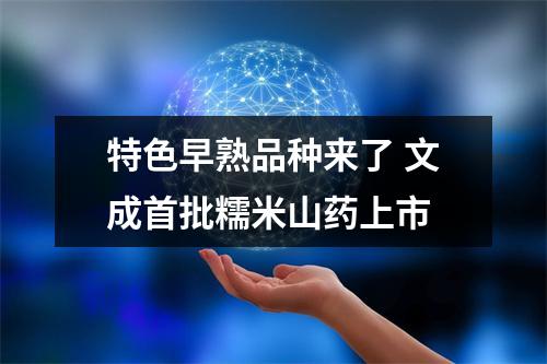 特色早熟品种来了 文成首批糯米山药上市