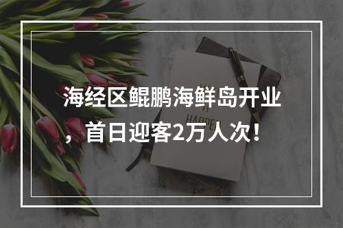 海经区鲲鹏海鲜岛开业，首日迎客2万人次！