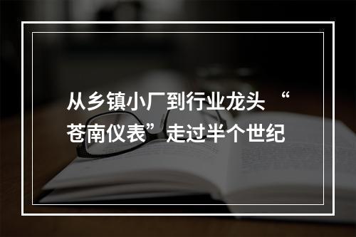 从乡镇小厂到行业龙头 “苍南仪表”走过半个世纪
