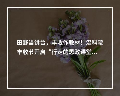 田野当讲台，丰收作教材！温科院丰收节开启“行走的思政课堂”