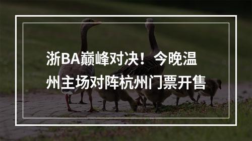 浙BA巅峰对决！今晚温州主场对阵杭州门票开售