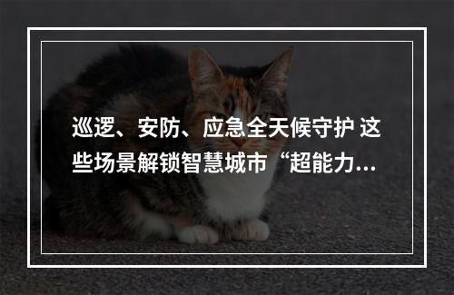 巡逻、安防、应急全天候守护 这些场景解锁智慧城市“超能力”