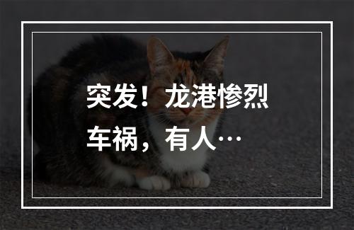 突发！龙港惨烈车祸，有人…