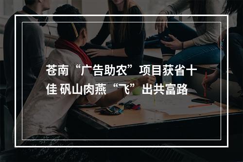 苍南“广告助农”项目获省十佳 矾山肉燕“飞”出共富路