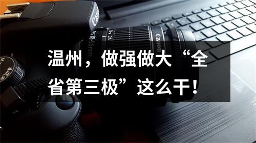 温州，做强做大“全省第三极”这么干！