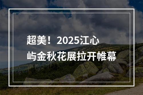 超美！2025江心屿金秋花展拉开帷幕