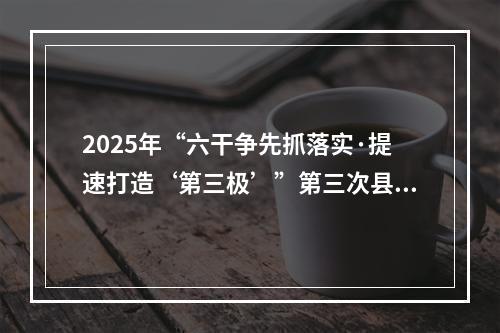 2025年“六干争先抓落实·提速打造‘第三极’”第三次县（市、区）比看活动举行